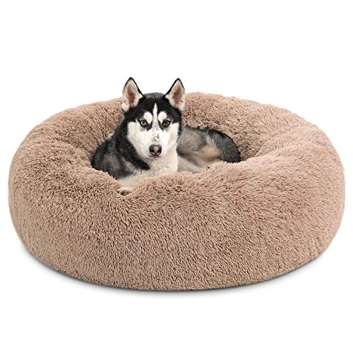 Calming Dog Beds