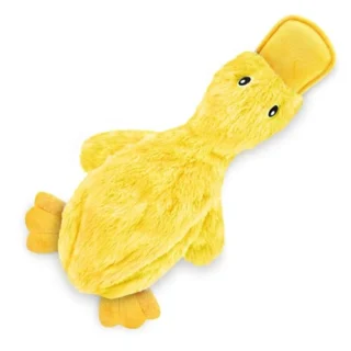 Crinkle Dog Toy for Small - and Large Breeds, Medium