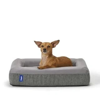 Dog Bed - Gray, 25.0L x 33.0W x 6.0Th, Medium