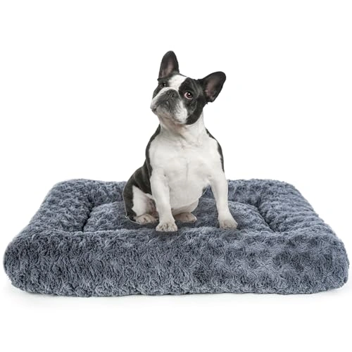 Dog Beds for Medium - Fits, Large Dogs
