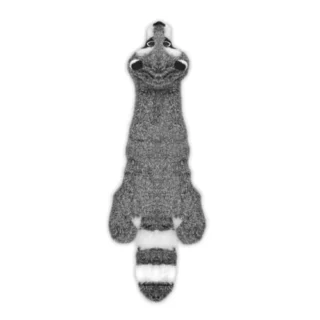in-1 Stuffless Squeaky Dog Toys with - Medium
