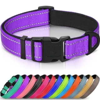 Reflective Dog Collar - Neoprene Padded Breathable Nylon Pet Collar Adjustable for Large
