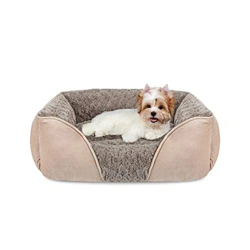 Small Dog Bed for Medium to Large Dogs - Rectangle -