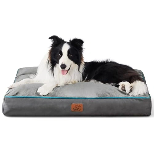 Washable Dog Beds